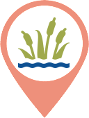 Marker